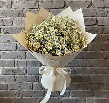 Букет цветов из:  Ромашки #REPLACE_PRED# Батецком