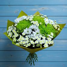 Букет цветов из:  Хризантемы #REPLACE_PRED# Батецком